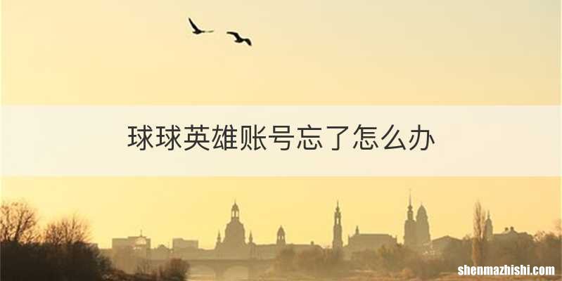 球球英雄账号忘了怎么办