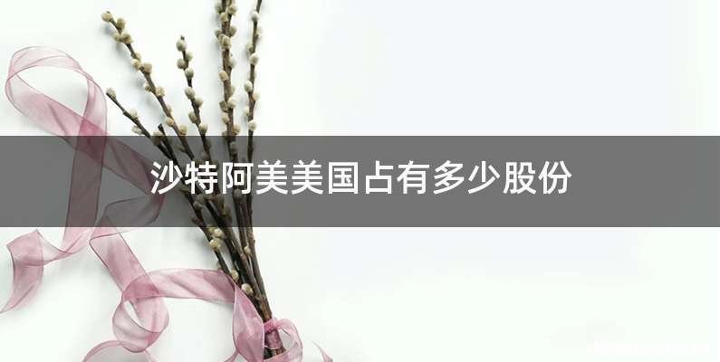 沙特阿美美国占有多少股份