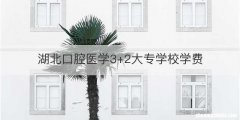 湖北口腔医学3+2大专学校学费