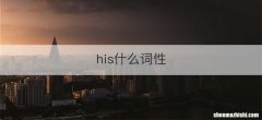his什么词性