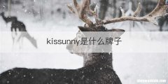 kissunny是什么牌子