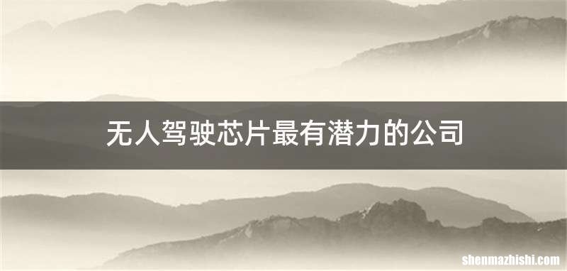 无人驾驶芯片最有潜力的公司