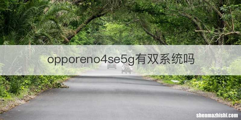 opporeno4se5g有双系统吗