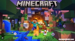 如何修复Windows中的Minecraft错误0x89235172