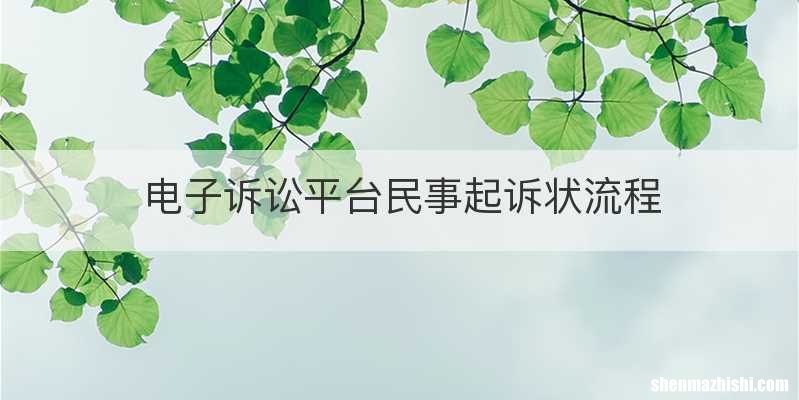 电子诉讼平台民事起诉状流程