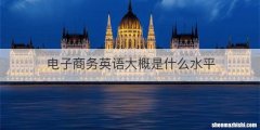 电子商务英语大概是什么水平