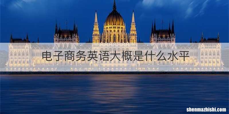 电子商务英语大概是什么水平