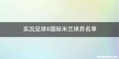 实况足球8国际米兰球员名单