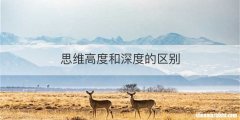 思维高度和深度的区别