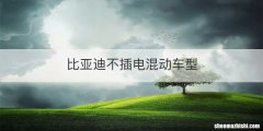 比亚迪不插电混动车型