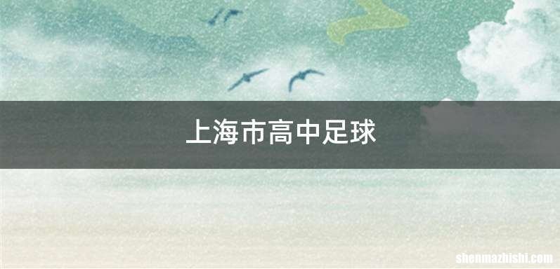 上海市高中足球