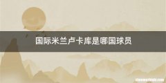 国际米兰卢卡库是哪国球员