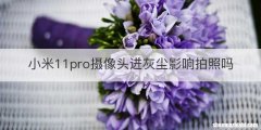 小米11pro摄像头进灰尘影响拍照吗