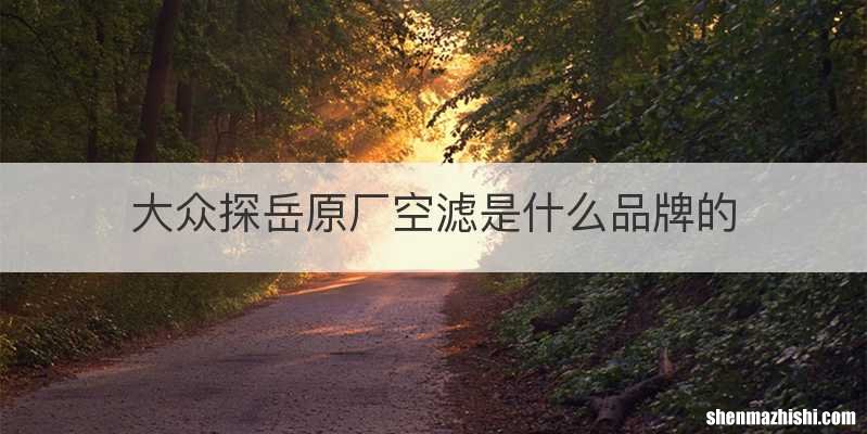 大众探岳原厂空滤是什么品牌的