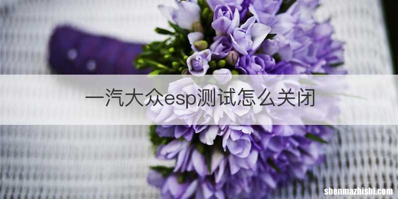 一汽大众esp测试怎么关闭