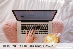 [修复]“NET.TCP 端口共享服务”无法启动