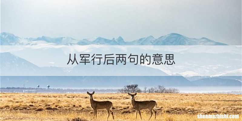 从军行后两句的意思