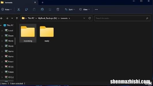 如何将您的qBittorrent安装移动到不同的Windows电脑