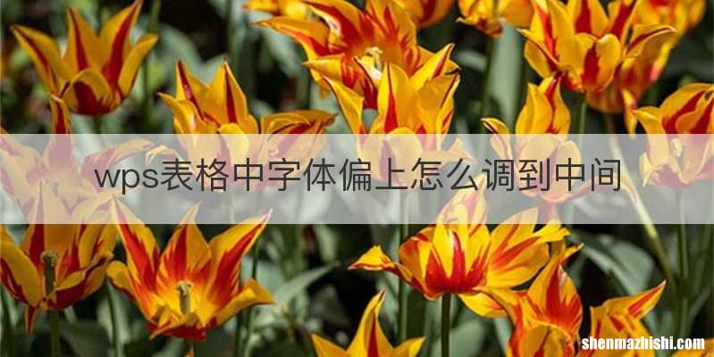 wps表格中字体偏上怎么调到中间
