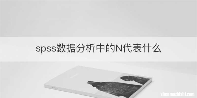 spss数据分析中的N代表什么