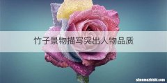 竹子景物描写突出人物品质