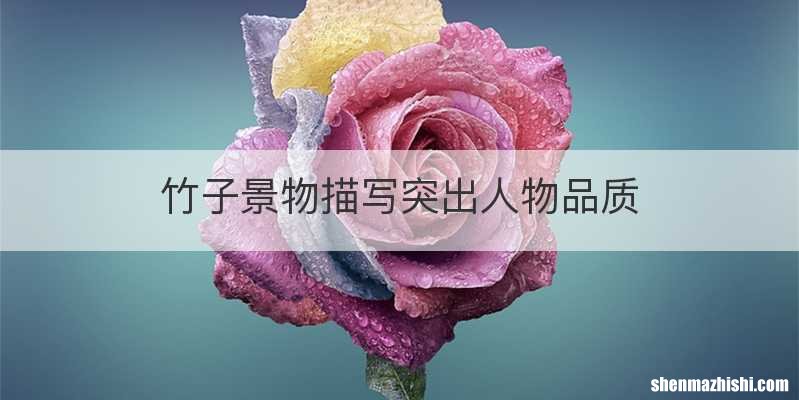 竹子景物描写突出人物品质
