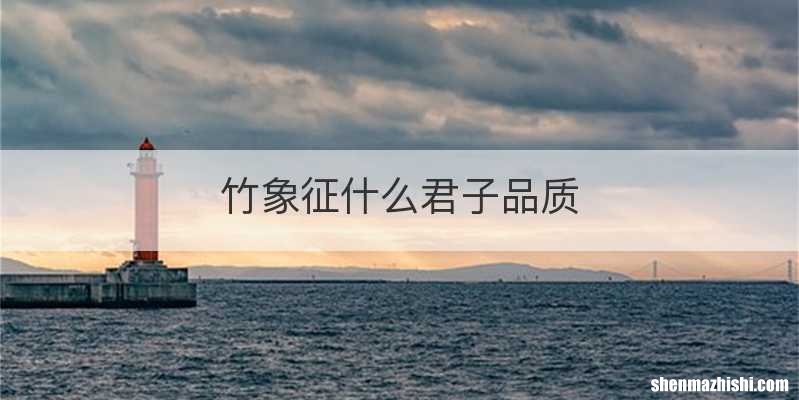 竹象征什么君子品质