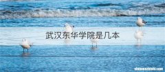 武汉东华学院是几本
