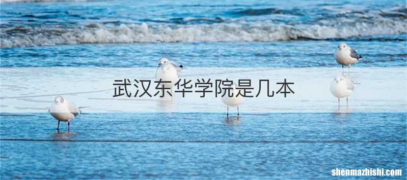 武汉东华学院是几本