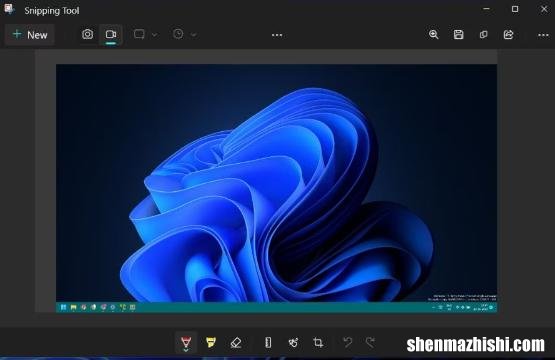 Windows截图工具与PrintScreen：哪个最适合您？