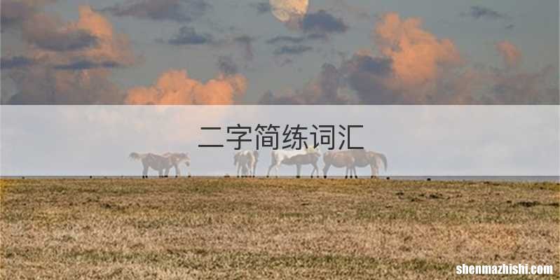 二字简练词汇