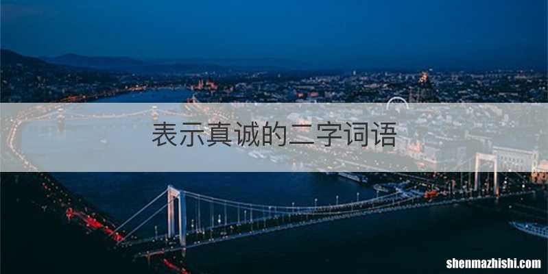 表示真诚的二字词语