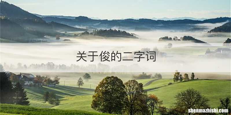 关于俊的二字词