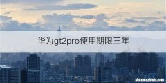 华为gt2pro使用期限三年