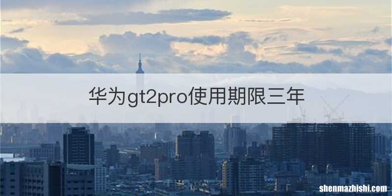 华为gt2pro使用期限三年
