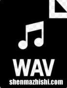FLAC与WAV格式之间的区别，哪个音质更好?