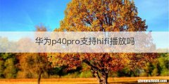 华为p40pro支持hifi播放吗