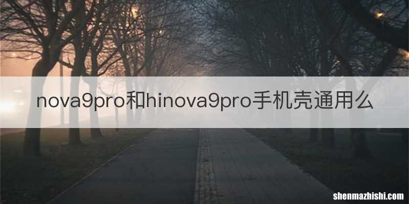 nova9pro和hinova9pro手机壳通用么