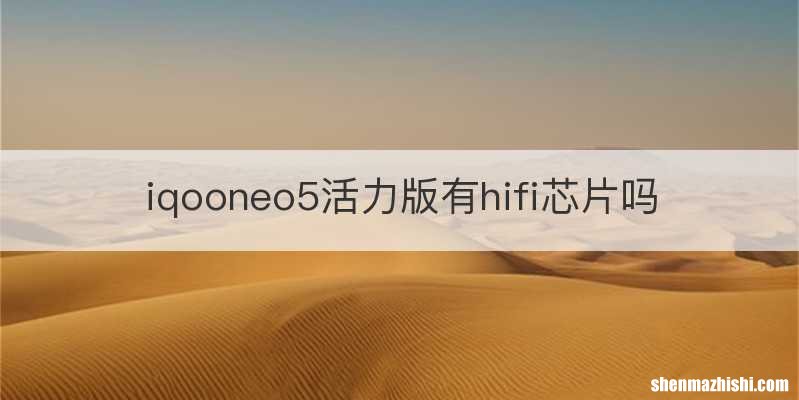 iqooneo5活力版有hifi芯片吗
