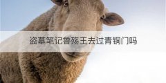 盗墓笔记鲁殇王去过青铜门吗