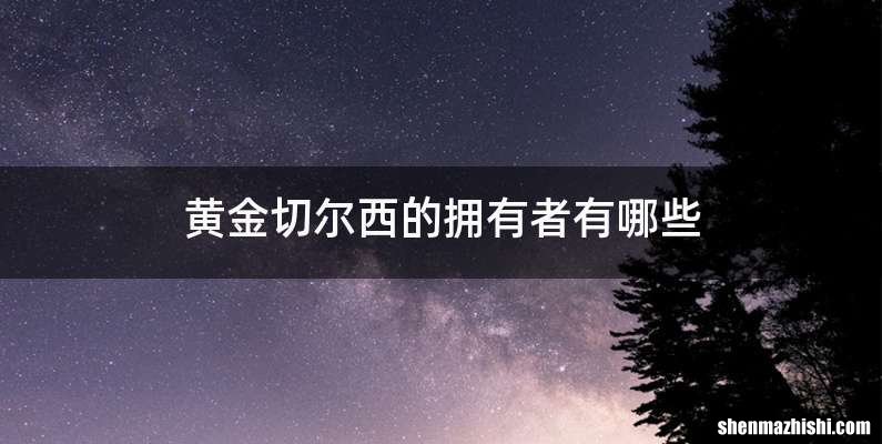 黄金切尔西的拥有者有哪些