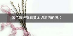 蓝色妖姬穿着黄金切尔西的照片