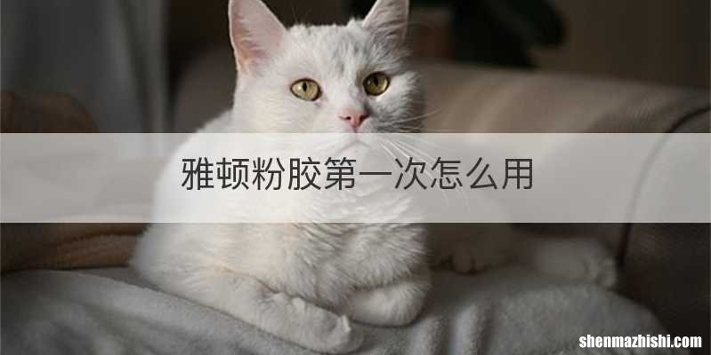 雅顿粉胶第一次怎么用