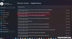 如何轻松获取Windows11电脑的最新更新