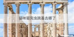 猫咪驱完虫跳蚤去哪了
