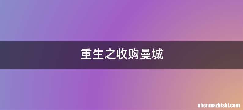重生之收购曼城
