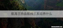 航海王热血航线三系培养什么