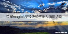 荣耀magic3至臻版如何录入面部识别