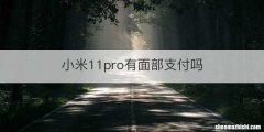 小米11pro有面部支付吗
