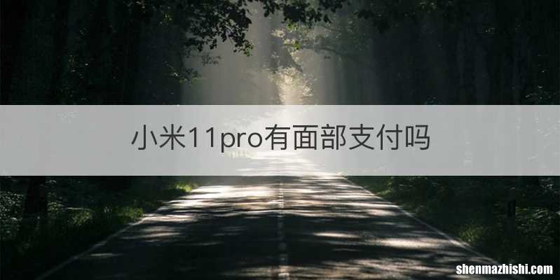 小米11pro有面部支付吗